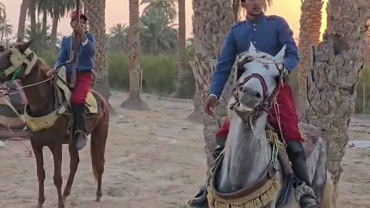 Cavalerie au coucher du soleil